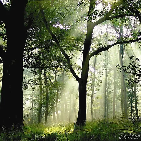 Op De Veluwe 4* Harderwijk